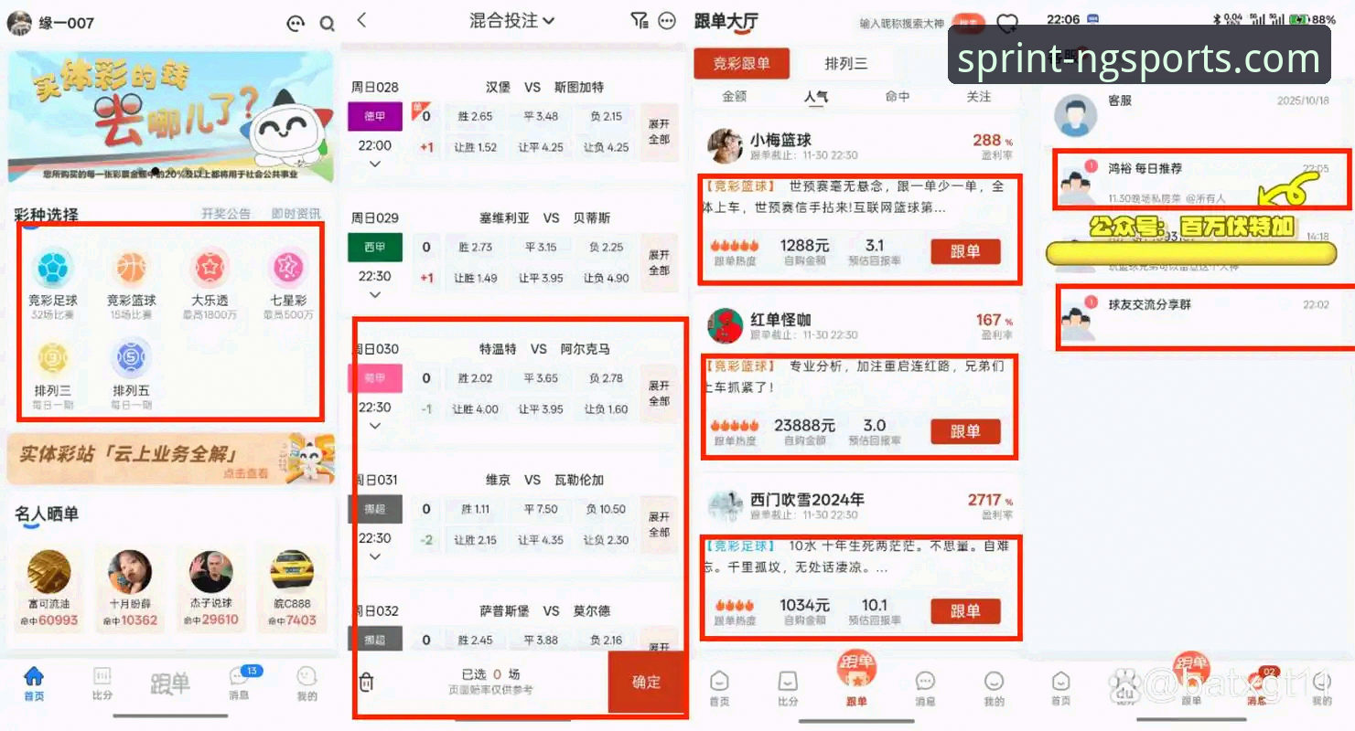 揭秘NG体育官网入口：数字娱乐平台的真实体验与价值分析